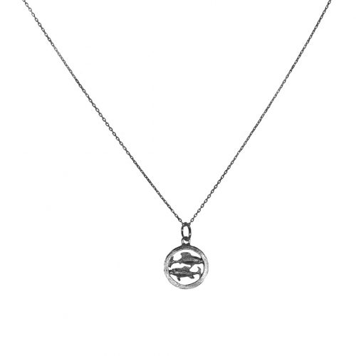 Colar signos, prata 925%